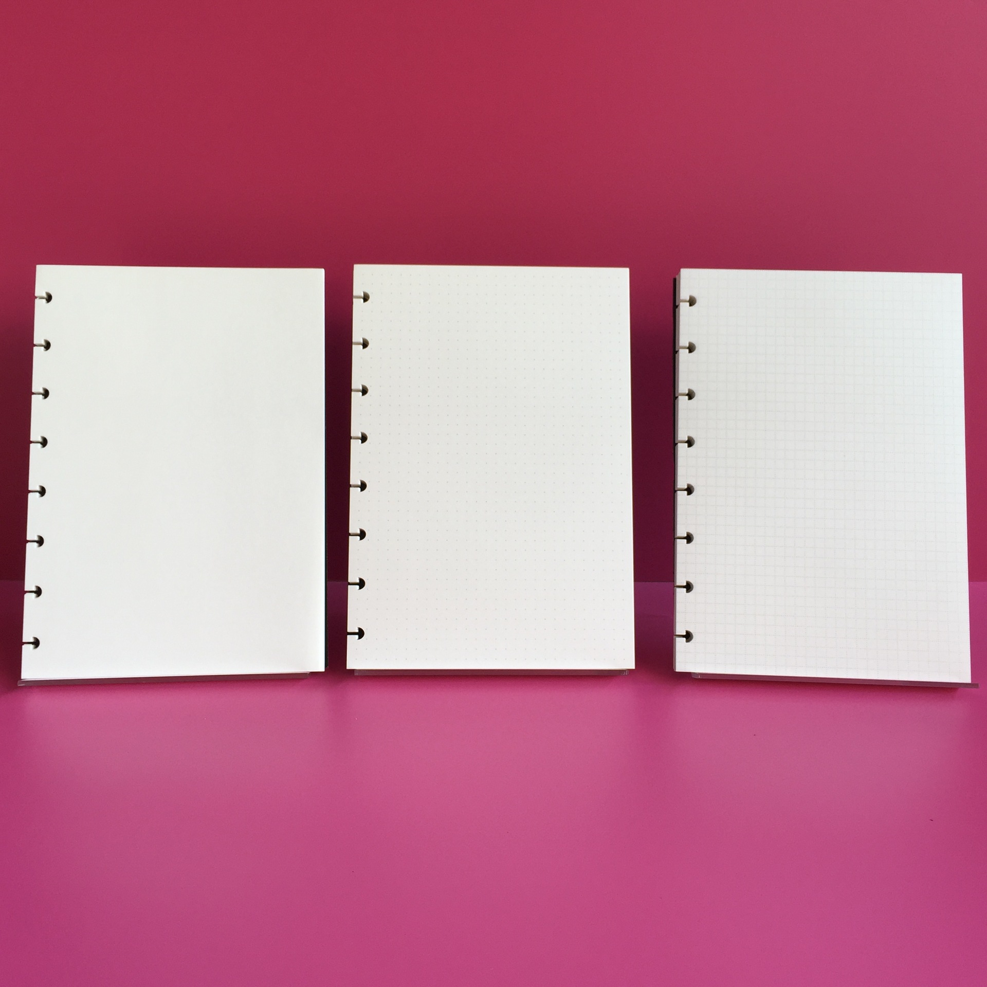 A5 Inner Page Blank/Horizontal – обзор и цена Notebook Dotted A5